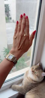 دستبند ونکلیف